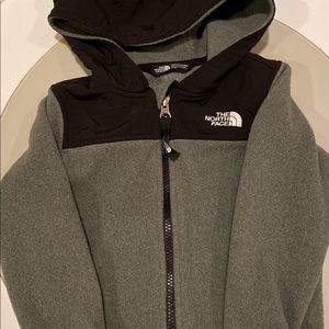 The North Face Toddler All Around Hoodie